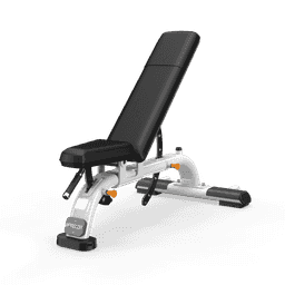 Multi-Adjustable Bench with Gloss Metallic Silver frame