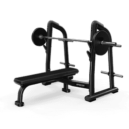 Olympic Flat Bench with Gloss Metallic Silver frame