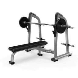 Olympic Flat Bench with Gloss Metallic Silver frame