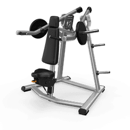 Shoulder Press with Gloss Metallic Silver frame